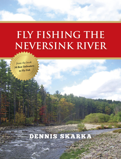 Dennis Skarka - Fly Fishing the Neversink River