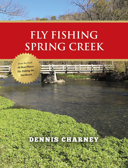 Dennis Charney - Fly Fishing Spring Creek