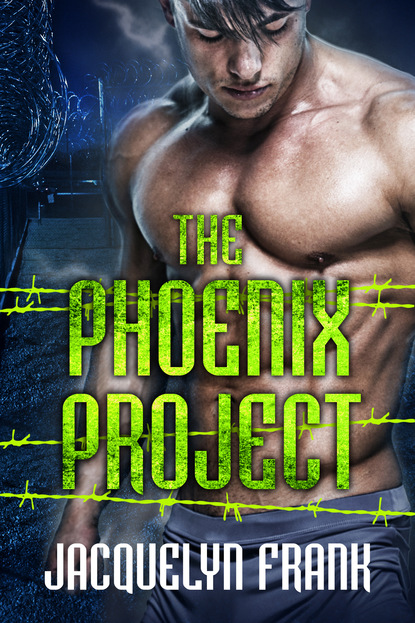 Jacquelyn  Frank - The Phoenix Project