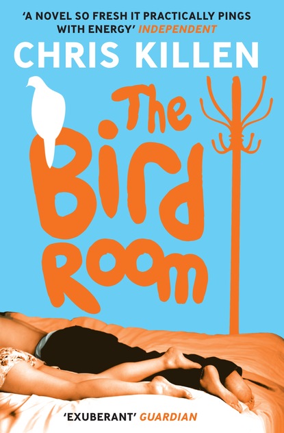 Chris Killen - The Bird Room