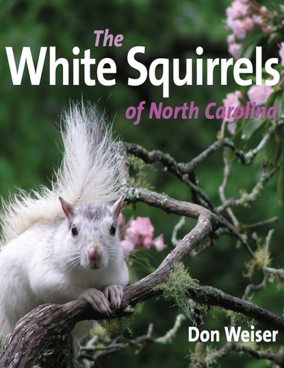 Donald Psy.D. Weiser - The White Squirrels of North Carolina