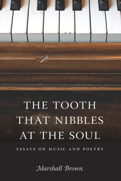 

The Tooth That Nibbles at the Soul