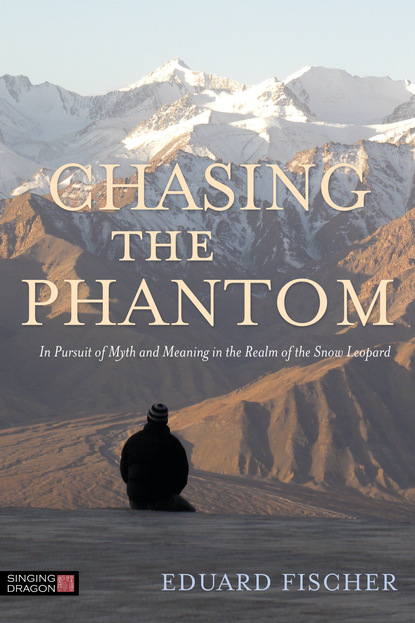 

Chasing the Phantom