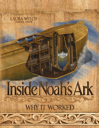 Laura Welch - Inside Noah's Ark