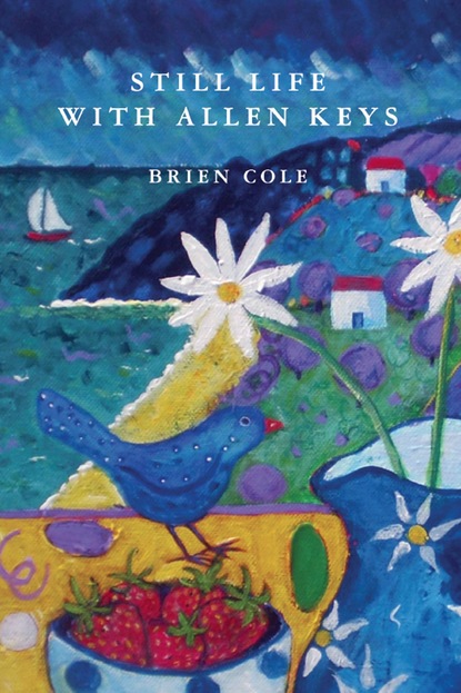 

Still Life with Allen Keys