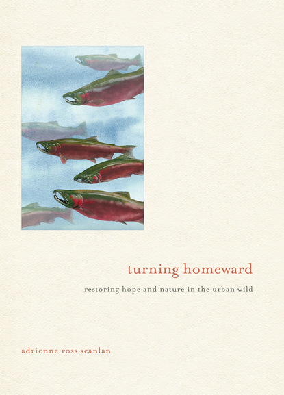 Adrienne Ross Scanlan - Turning Homeward