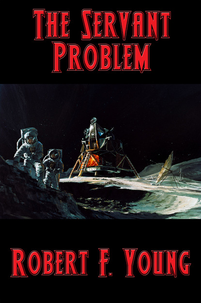 

The Servant Problem