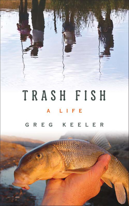 

Trash Fish