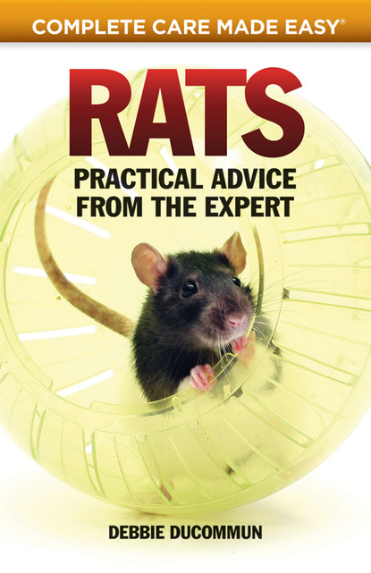 

Rats