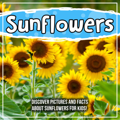 

Sunflowers: Discover Pictures and Facts About Sunflowers For Kids!