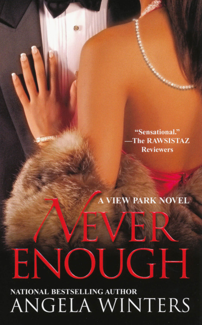 Angela Winters - Never Enough, A View Park Novel