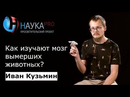 Палеонейробиология: как изучают мозг вымерших животных?