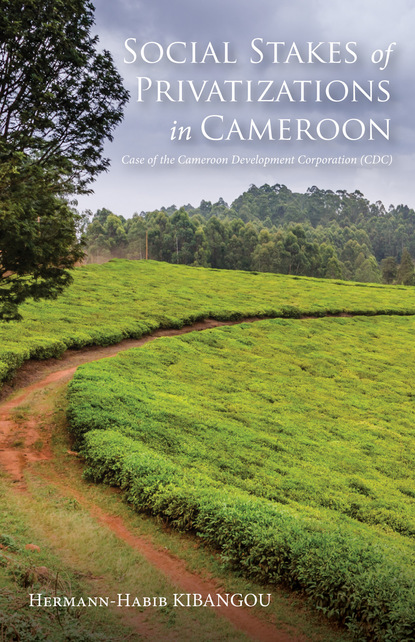 

Social Stakes of Privatizations in Cameroon