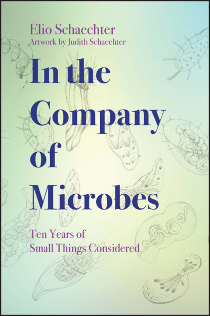 Moselio  Schaechter - In the Company of Microbes