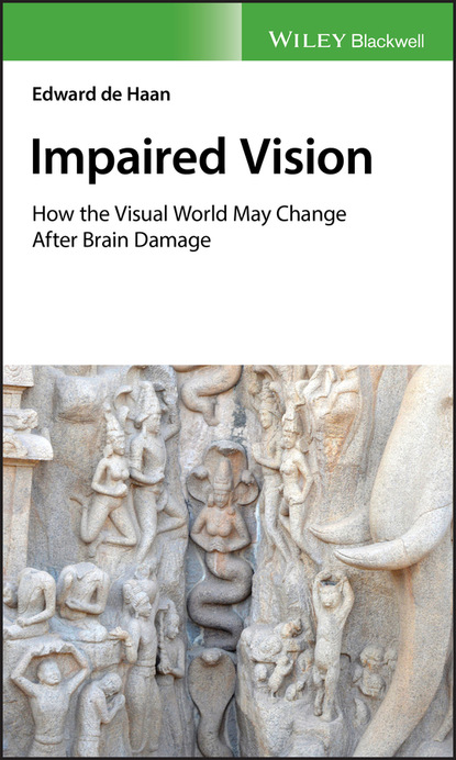 Impaired Vision - Edward de Haan