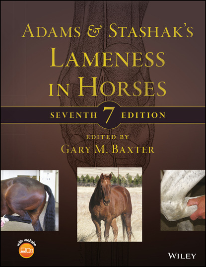 Группа авторов - Adams and Stashak's Lameness in Horses