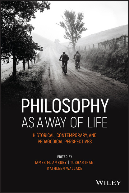 Группа авторов - Philosophy as a Way of Life