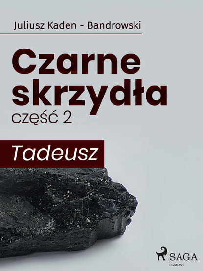 Juliusz Kaden-Bandrowski - Czarne skrzydła 2 - Tadeusz