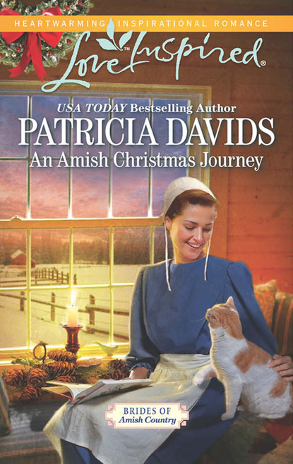 Patricia Davids - An Amish Christmas Journey