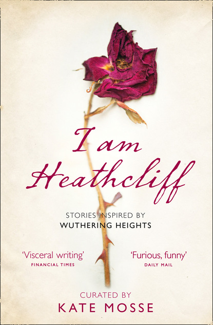 Группа авторов - I Am Heathcliff