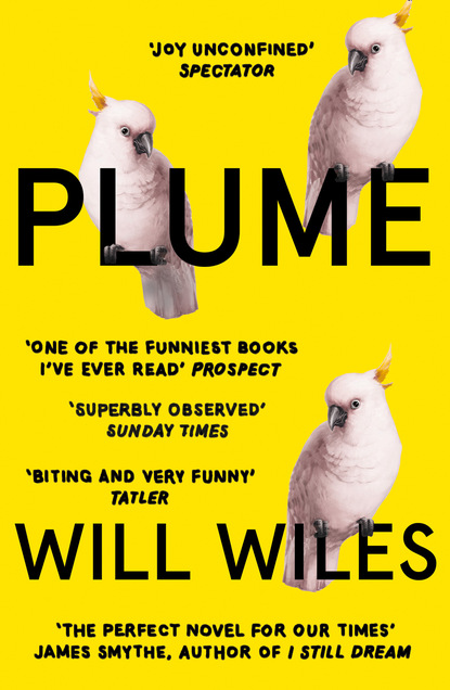 Will  Wiles - Plume