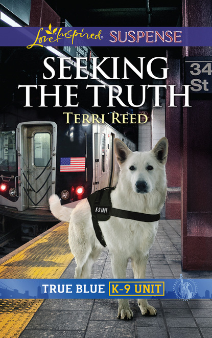 Terri Reed - Seeking The Truth