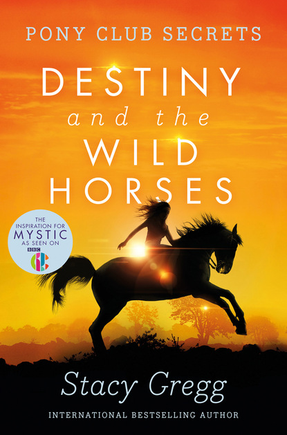 Stacy Gregg - Destiny and the Wild Horses