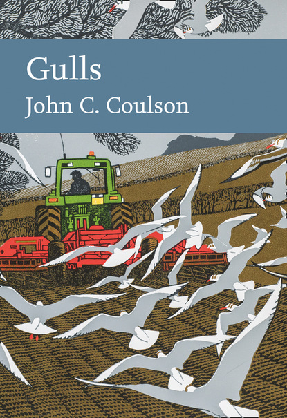 Professor John C. Coulson - Gulls