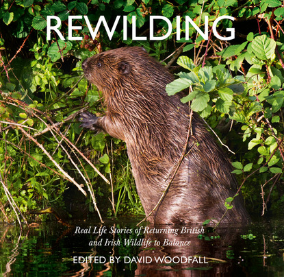 David Woodfall — Rewilding