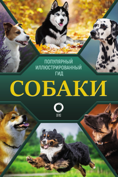 Собаки. Популярный иллюстрированный гид (Е. О. Хомич). 2021г. 