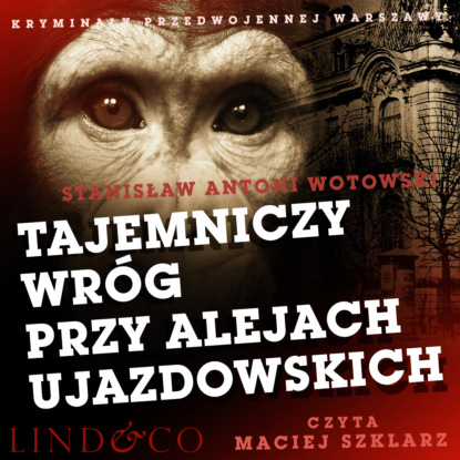 Stanisław Antoni Wotowski - Tajemniczy wróg przy Alejach Ujazdowskich