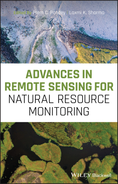 Группа авторов - Advances in Remote Sensing for Natural Resource Monitoring