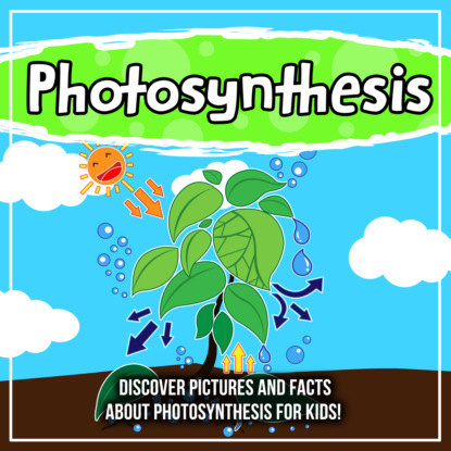 

Photosynthesis: Discover Pictures and Facts About Photosynthesis For Kids!