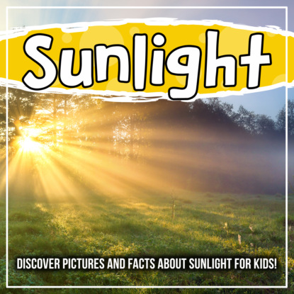 

Sunlight: Discover Pictures and Facts About Sunlight For Kids!