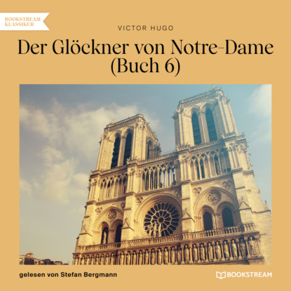 Victor Hugo - Der Glöckner von Notre-Dame, Buch 6 (Ungekürzt)