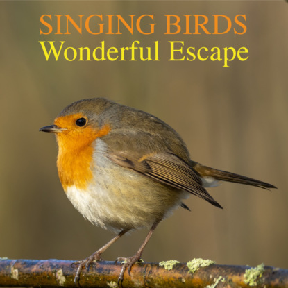 Ксюша Ангел - Singing Birds -Wonderful Escape (Nature Sounds To Reduce Stress And Well Being)