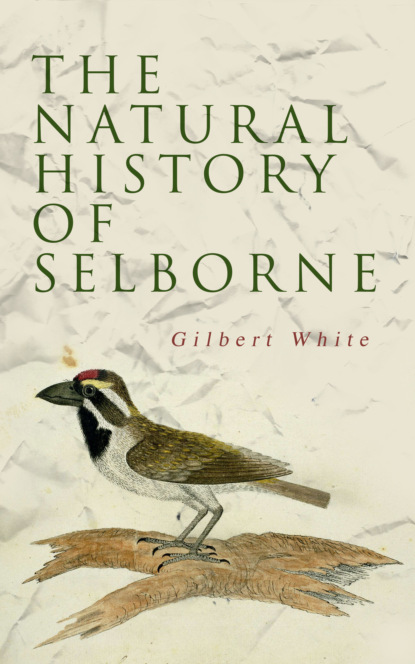 Gilbert White - The Natural History of Selborne