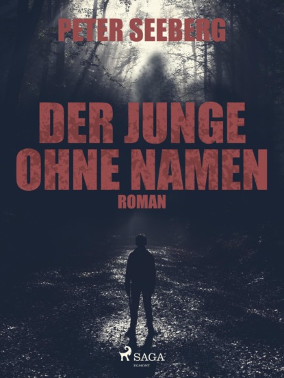 Der Junge ohne Namen (Peter Seeberg). 