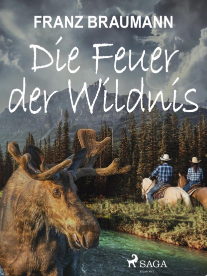 Franz Braumann - Die Feuer der Wildnis