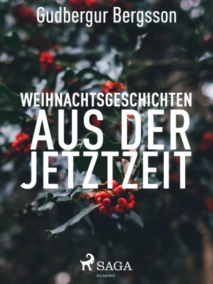 Weihnachtsgeschichten aus der Jetztzeit (Gudbergur Bergsson). 