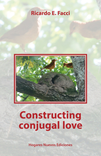Ricardo E. Facci - Constructing conjugal love