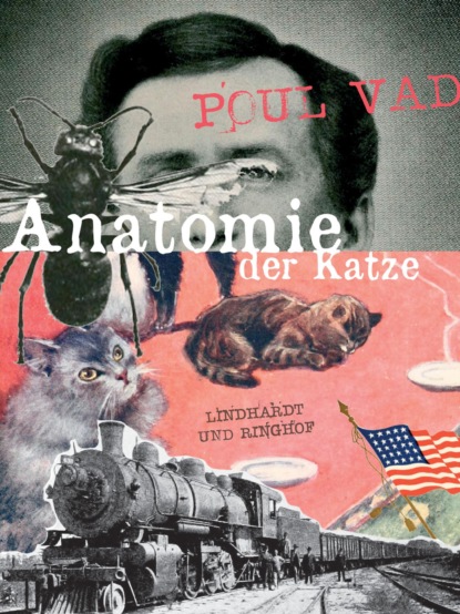 Anatomie der Katze (Poul Vad). 