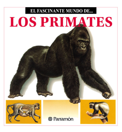 Maira Àngels Julivert - Los Primates