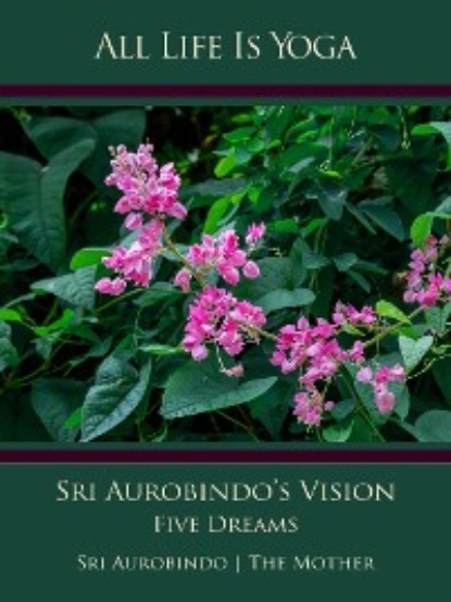 Sri Aurobindo - All Life Is Yoga: Sri Aurobindo’s Vision
