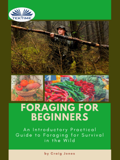 Craig Jones - Foraging For Beginners