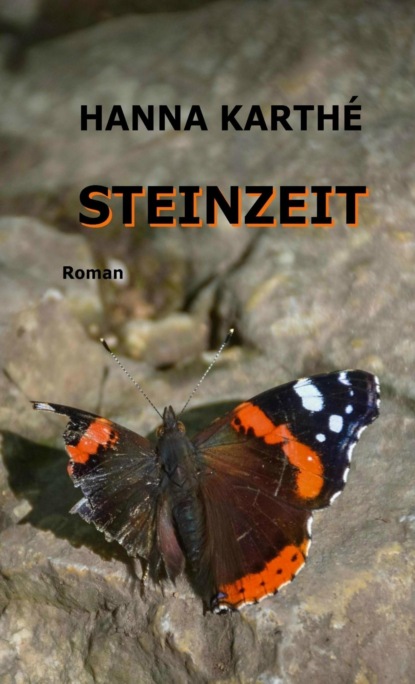

Steinzeit