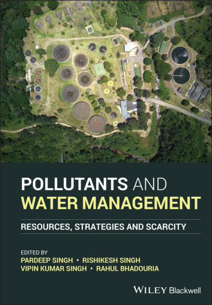 Группа авторов - Pollutants and Water Management