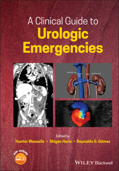 Группа авторов - A Clinical Guide to Urologic Emergencies