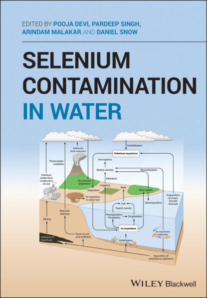 Группа авторов - Selenium Contamination in Water
