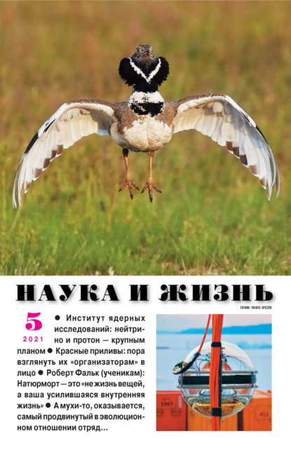 Наука и жизнь №05/2021